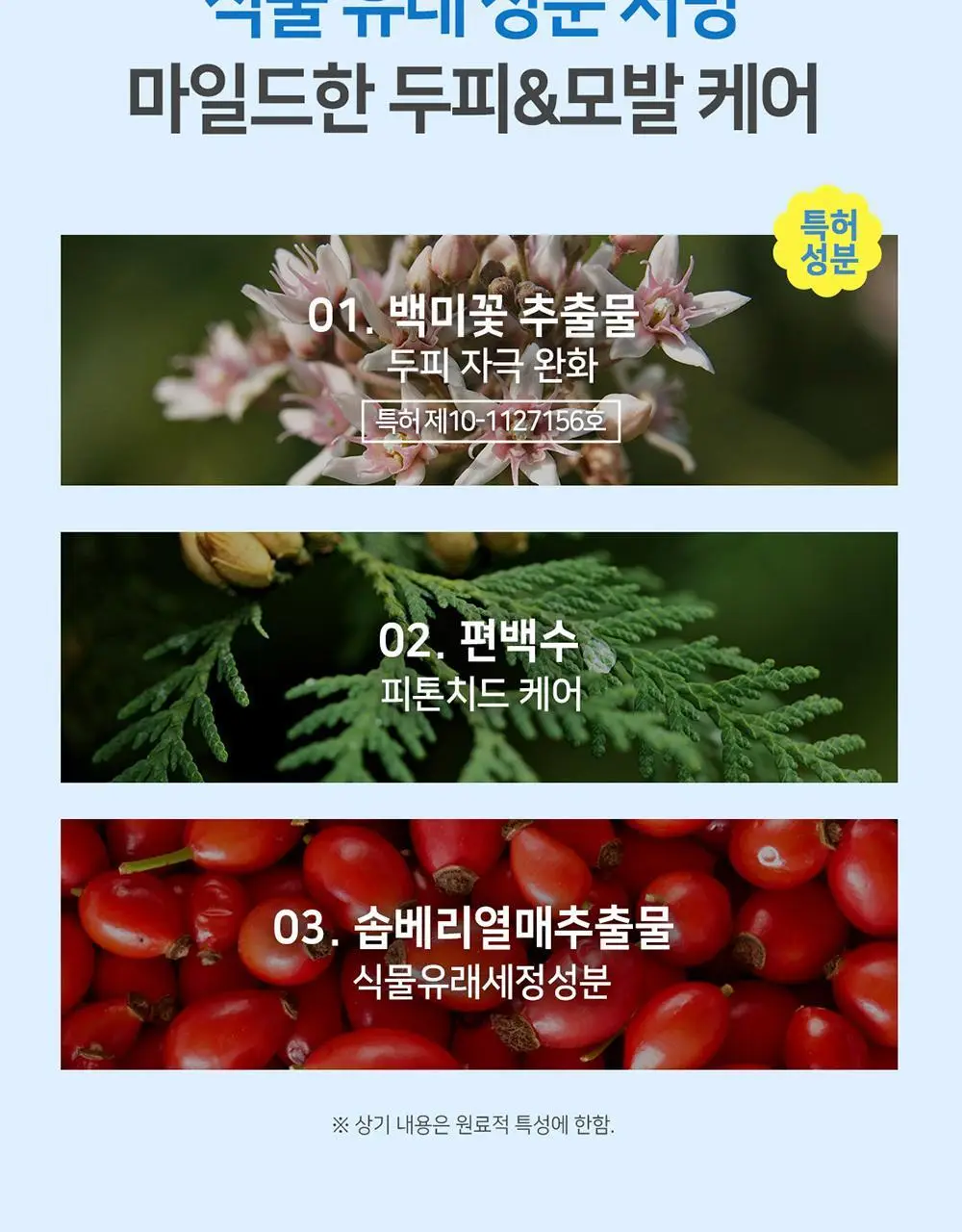[뽀송/드라이샴푸] 헤드스파7 노워시샴푸 100ml 상세페이지 13